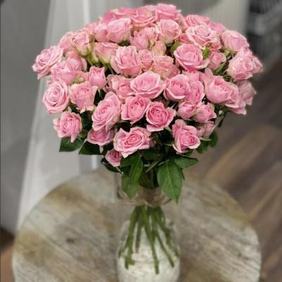  فازة الحياة