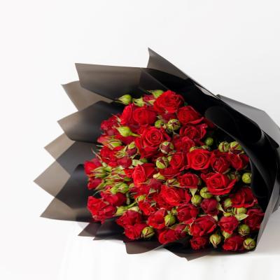 البيبي روز الأحمر ❤️🌹