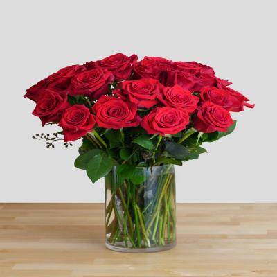 فازت الحب الكلاسيكية – 20 وردة جوري حمراء