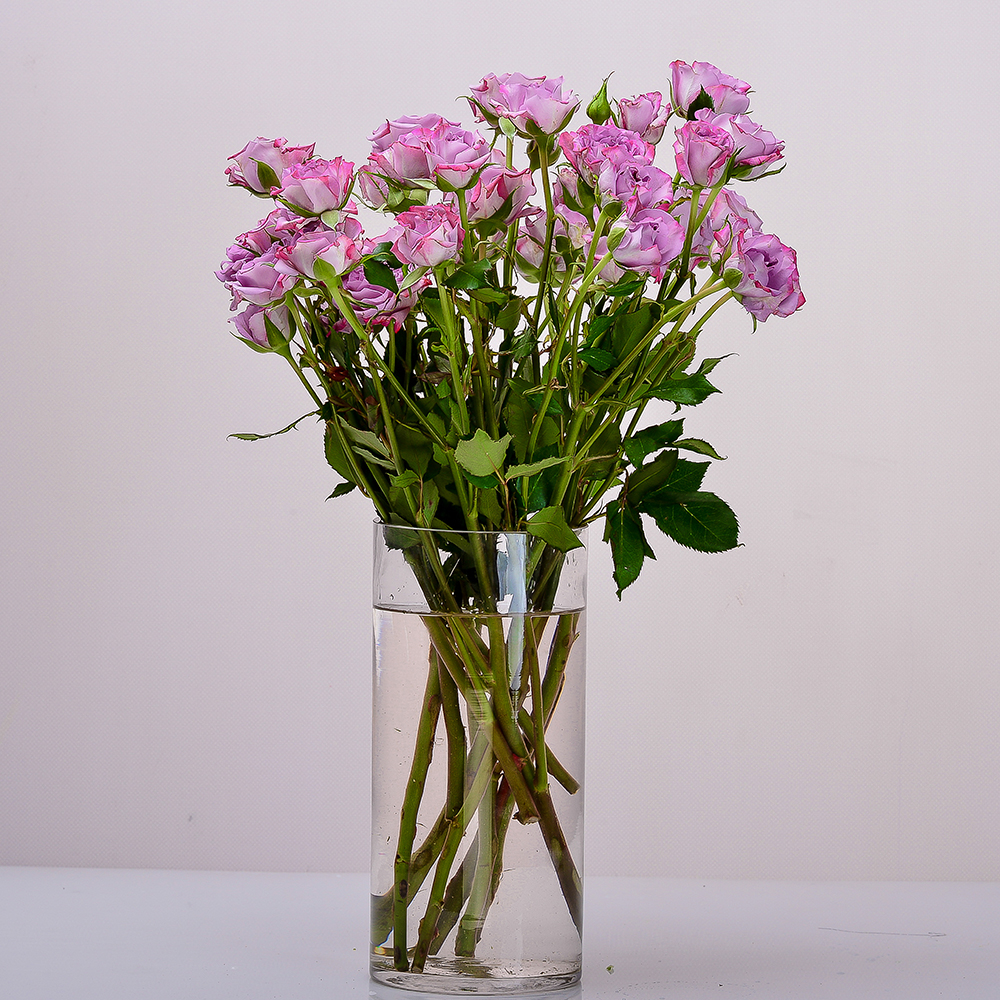 فازة بيبي جوري كوكوس – 8 أغصان