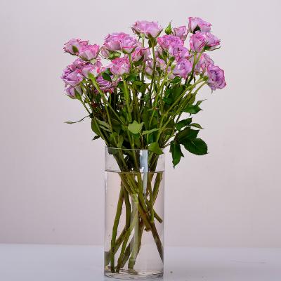 فازة بيبي جوري كوكوس – 8 أغصان