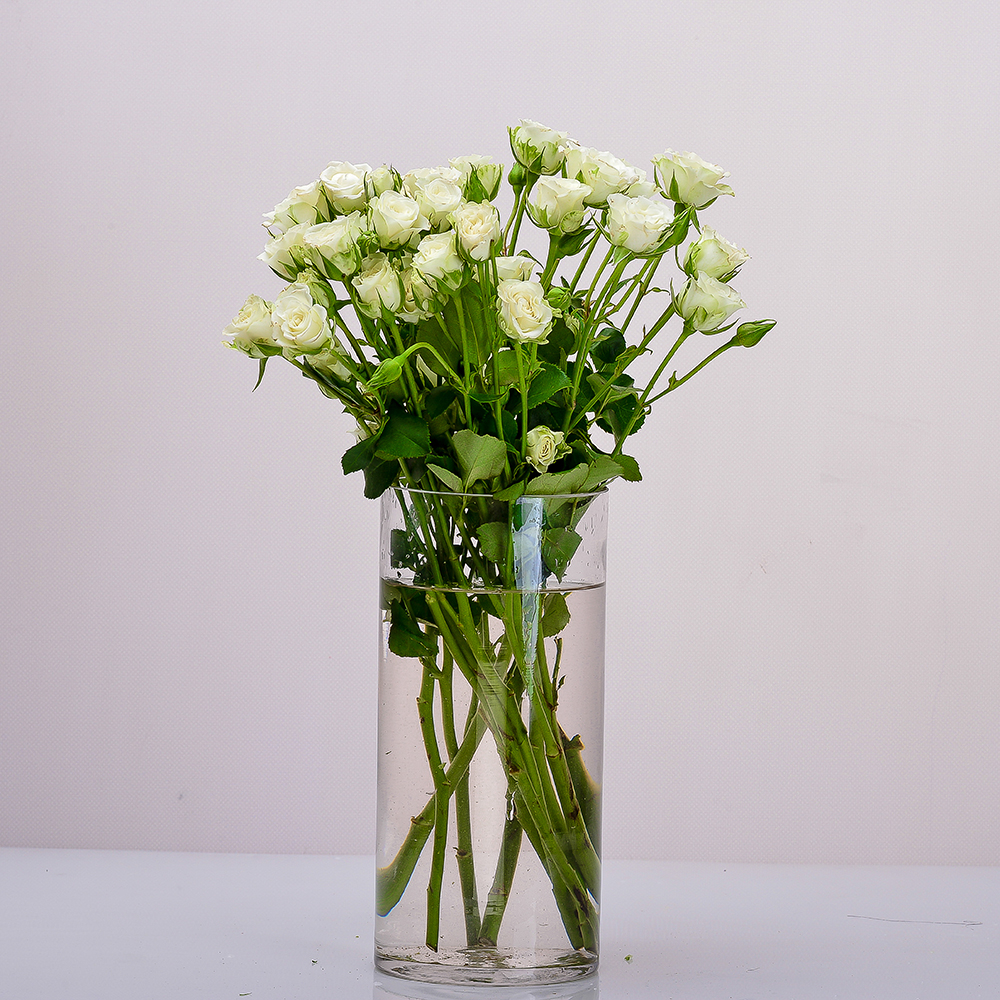 فازة بيبي جوري كيتي – 8 أغصان