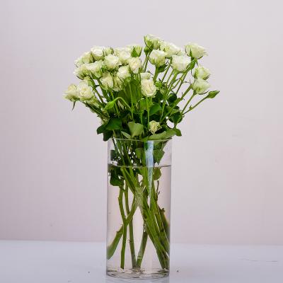 فازة بيبي جوري كيتي – 8 أغصان