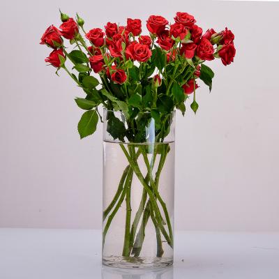 باقة نامورا الحمراء ❤️✨