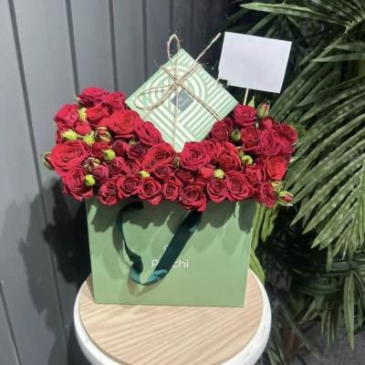 سحر الباتشي مع البيبي جوري الأحمر 🌹🍫